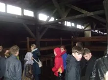DSCF8186