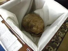 DSCN7429