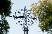DSC_5046